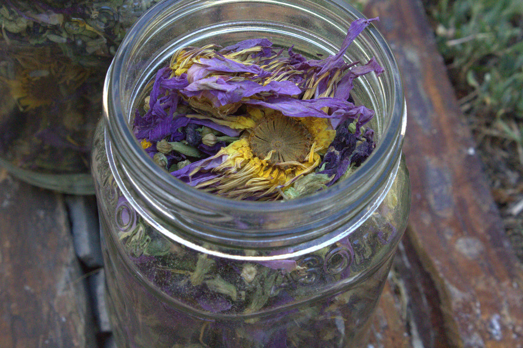 Sacred Bloom Tea Blend 16 oz jar