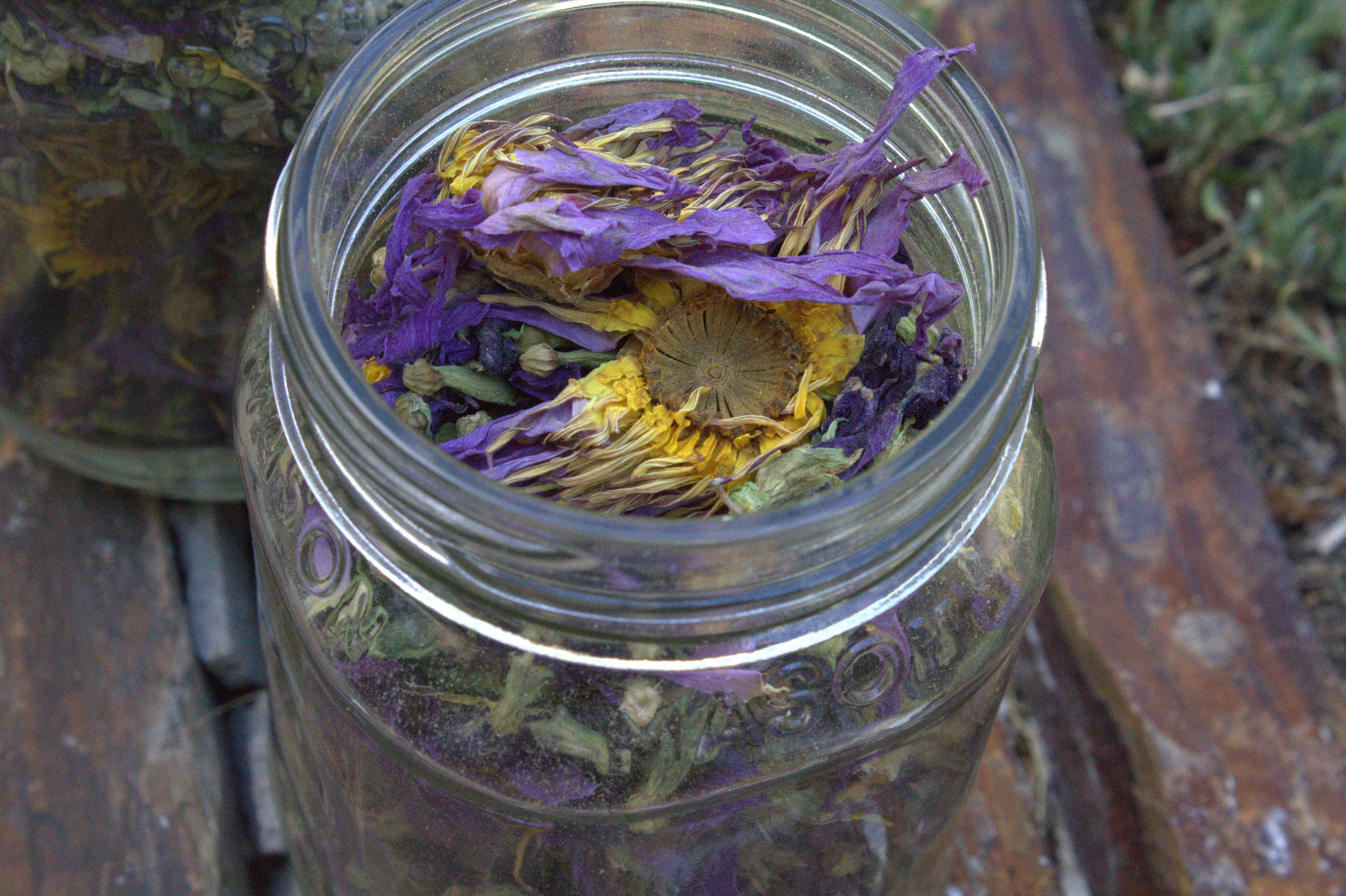 Sacred Bloom Tea Blend 16 oz jar