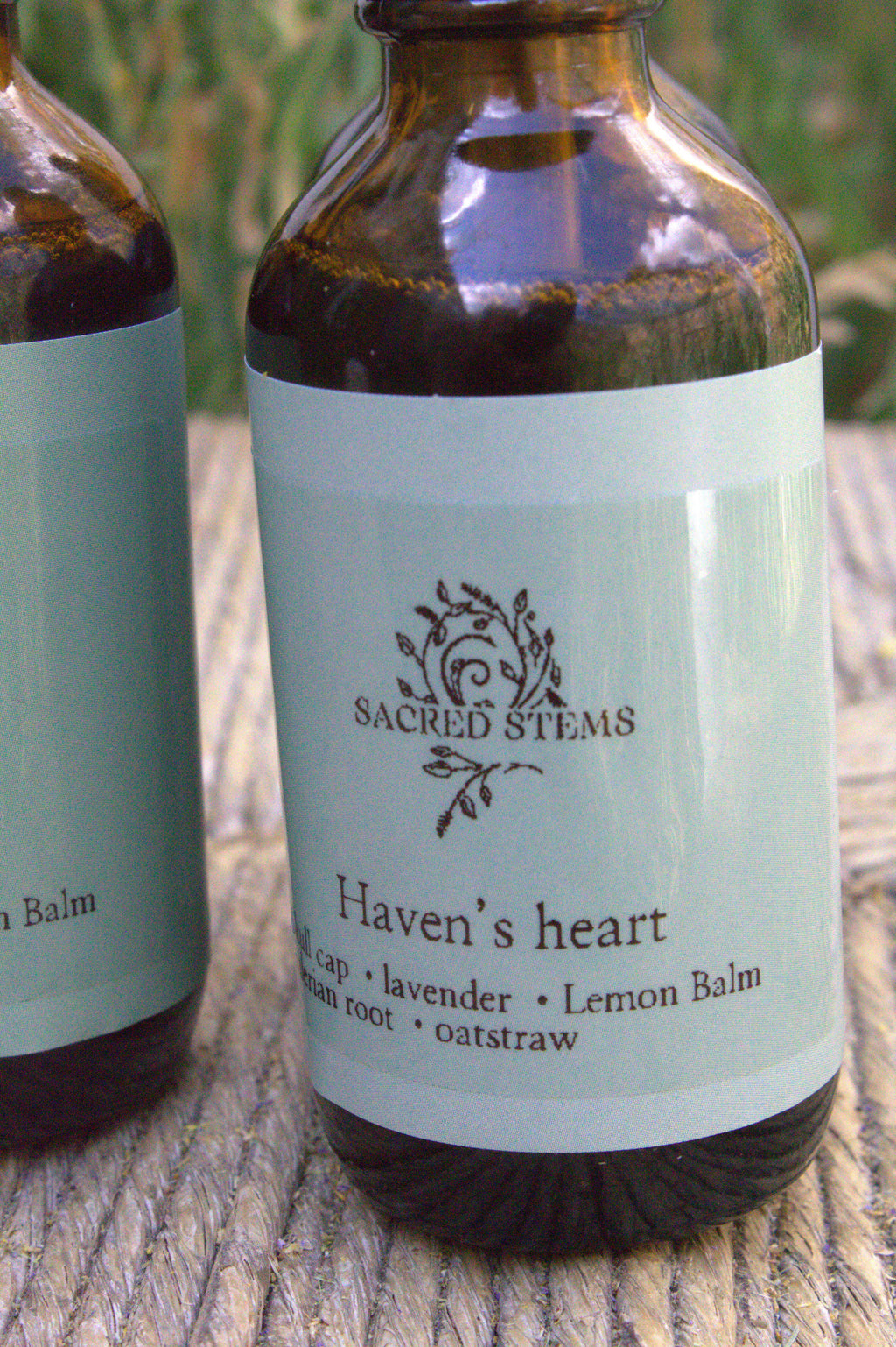 Haven’s Heart