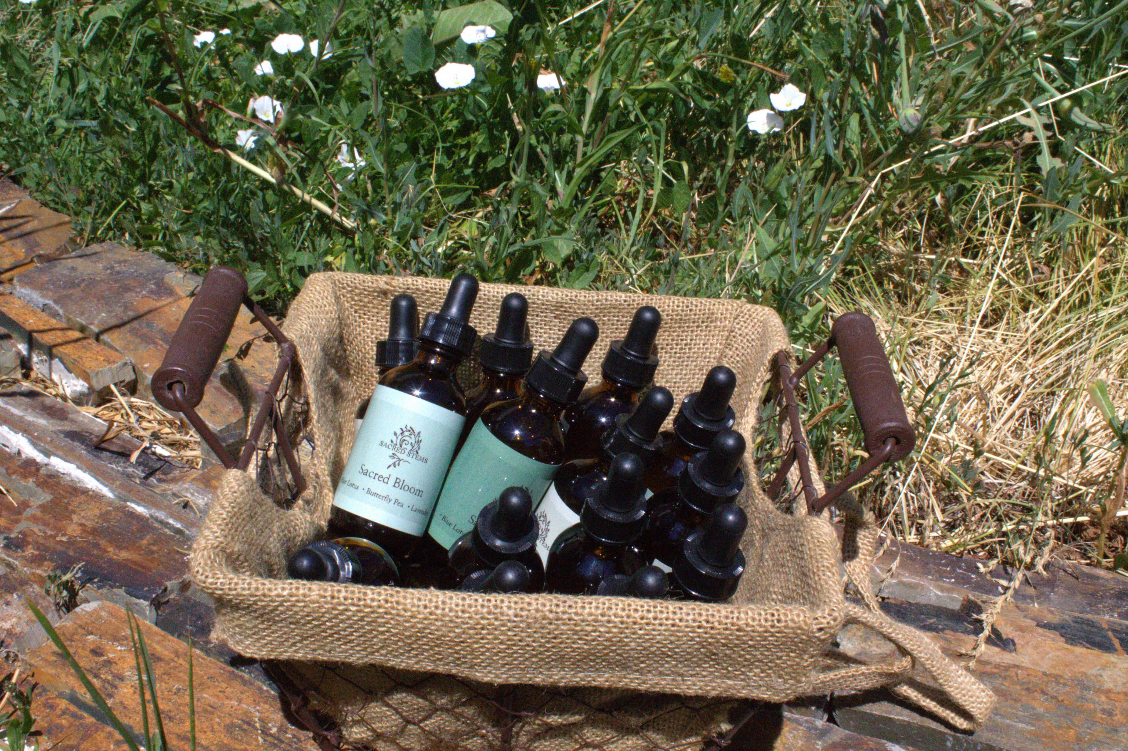 Sacred Bloom botanical face oil